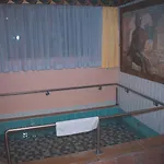 Alpenrose Hotell